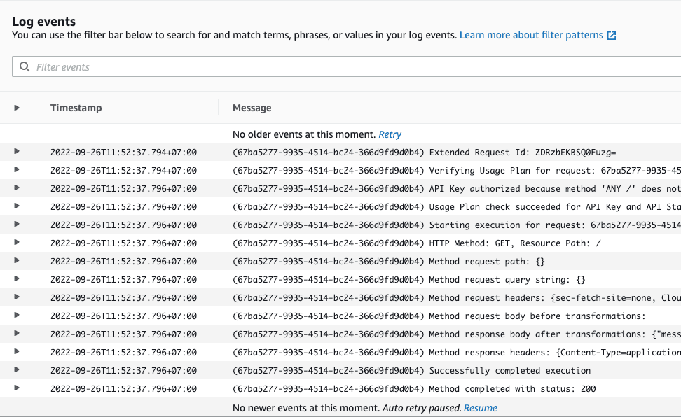 Execution log output